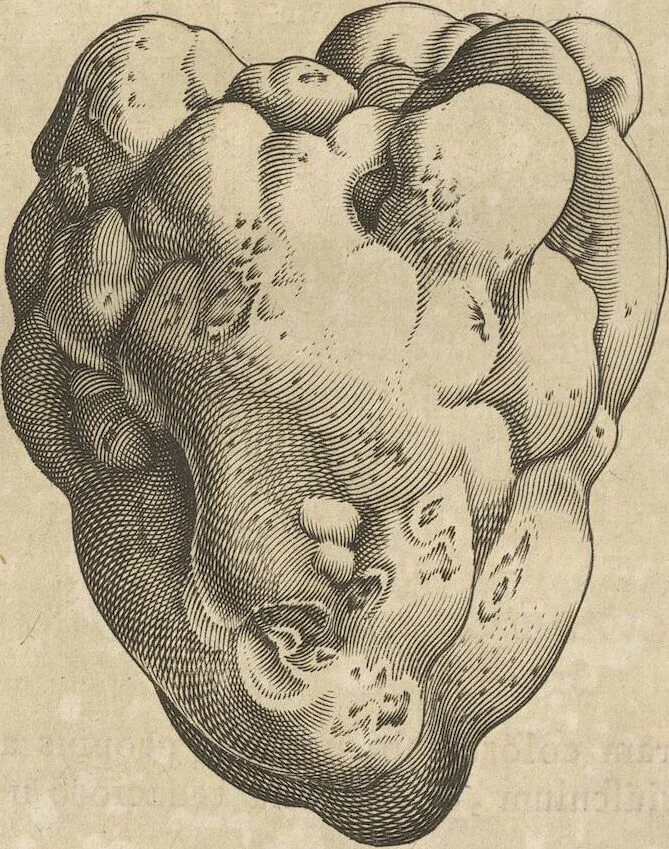 An illustration from Michaelis Mercati Samminiatensis Metallotheca: Opus Posthumum, Auctoritate, & Munificentiâ Clementis Undecimi Pontificis Maximi E' tenebris in lucem eductum; Opera autem, & studio Joannis Mariae Lancisii Archiatri Pontificii Illustratum. Cui Accessit Appendix Cum XIX. Recens Inventis Iconibus, 1719, leaf 180