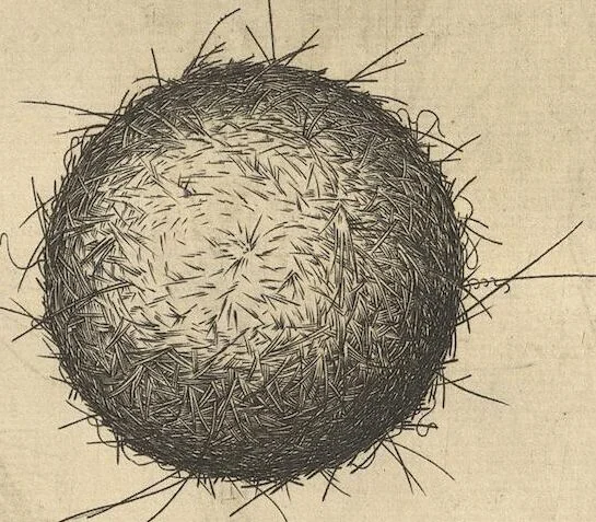 An illustration from Michaelis Mercati Samminiatensis Metallotheca: Opus Posthumum, Auctoritate, & Munificentiâ Clementis Undecimi Pontificis Maximi E' tenebris in lucem eductum; Opera autem, & studio Joannis Mariae Lancisii Archiatri Pontificii Illustratum. Cui Accessit Appendix Cum XIX. Recens Inventis Iconibus, 1719, leaf 189