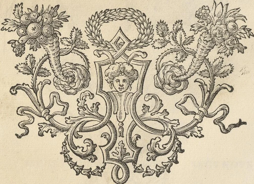 An illustration from Michaelis Mercati Samminiatensis Metallotheca: Opus Posthumum, Auctoritate, & Munificentiâ Clementis Undecimi Pontificis Maximi E' tenebris in lucem eductum; Opera autem, & studio Joannis Mariae Lancisii Archiatri Pontificii Illustratum. Cui Accessit Appendix Cum XIX. Recens Inventis Iconibus, 1719, leaf 208