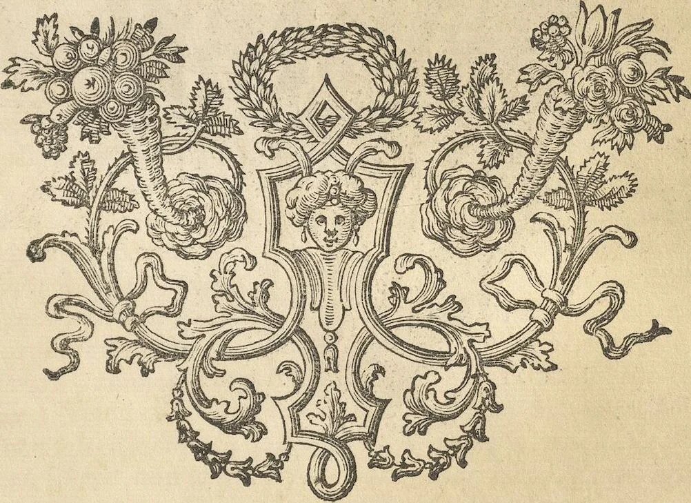 An illustration from Michaelis Mercati Samminiatensis Metallotheca: Opus Posthumum, Auctoritate, & Munificentiâ Clementis Undecimi Pontificis Maximi E' tenebris in lucem eductum; Opera autem, & studio Joannis Mariae Lancisii Archiatri Pontificii Illustratum. Cui Accessit Appendix Cum XIX. Recens Inventis Iconibus, 1719, leaf 211