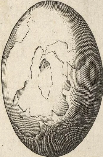 An illustration from Michaelis Mercati Samminiatensis Metallotheca: Opus Posthumum, Auctoritate, & Munificentiâ Clementis Undecimi Pontificis Maximi E' tenebris in lucem eductum; Opera autem, & studio Joannis Mariae Lancisii Archiatri Pontificii Illustratum. Cui Accessit Appendix Cum XIX. Recens Inventis Iconibus, 1719, leaf 250