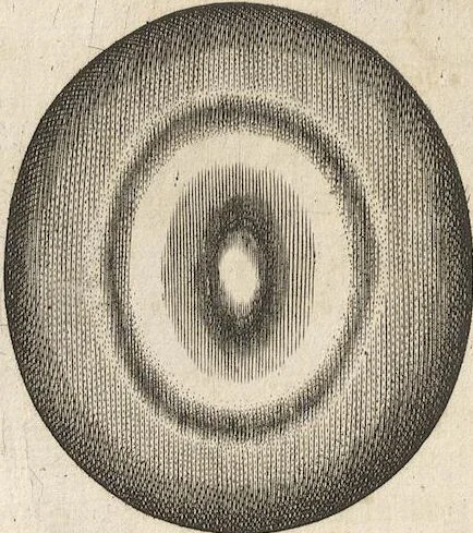 An illustration from Michaelis Mercati Samminiatensis Metallotheca: Opus Posthumum, Auctoritate, & Munificentiâ Clementis Undecimi Pontificis Maximi E' tenebris in lucem eductum; Opera autem, & studio Joannis Mariae Lancisii Archiatri Pontificii Illustratum. Cui Accessit Appendix Cum XIX. Recens Inventis Iconibus, 1719, leaf 250