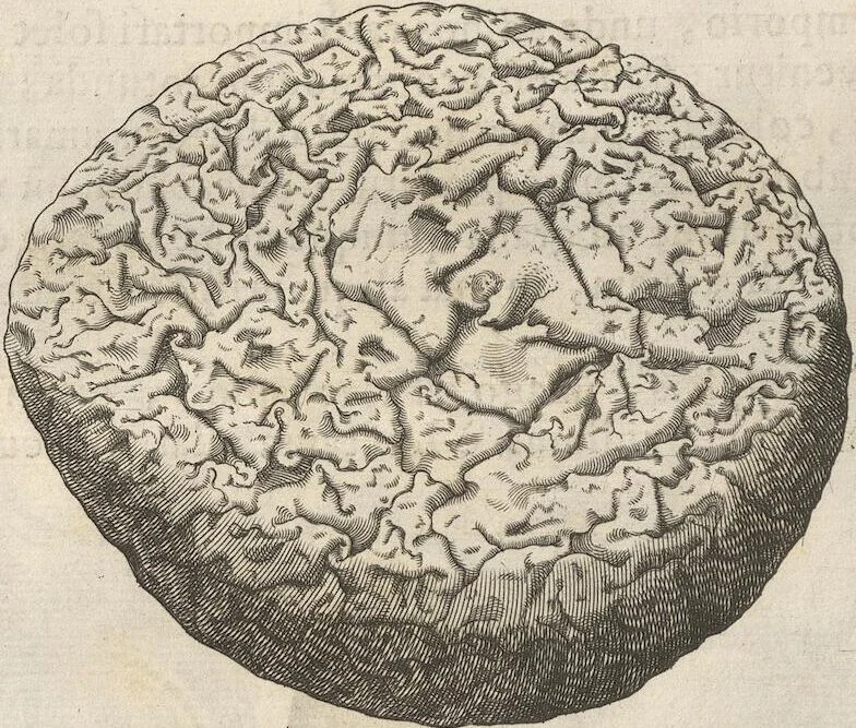An illustration from Michaelis Mercati Samminiatensis Metallotheca: Opus Posthumum, Auctoritate, & Munificentiâ Clementis Undecimi Pontificis Maximi E' tenebris in lucem eductum; Opera autem, & studio Joannis Mariae Lancisii Archiatri Pontificii Illustratum. Cui Accessit Appendix Cum XIX. Recens Inventis Iconibus, 1719, leaf 258