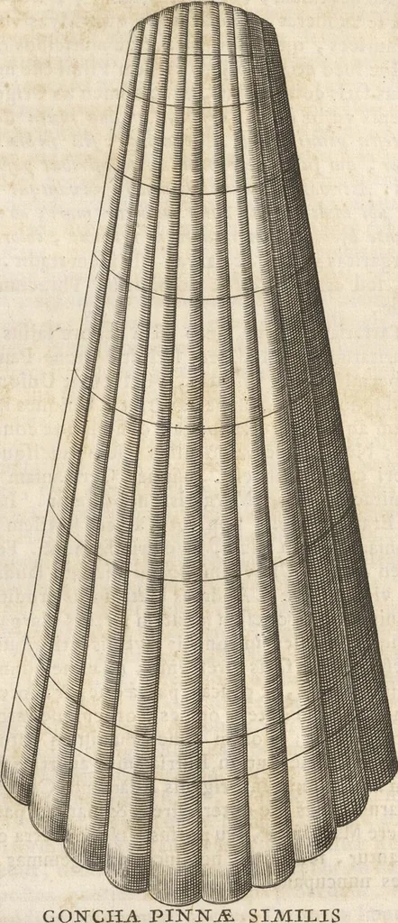 An illustration from Michaelis Mercati Samminiatensis Metallotheca: Opus Posthumum, Auctoritate, & Munificentiâ Clementis Undecimi Pontificis Maximi E' tenebris in lucem eductum; Opera autem, & studio Joannis Mariae Lancisii Archiatri Pontificii Illustratum. Cui Accessit Appendix Cum XIX. Recens Inventis Iconibus, 1719, leaf 283