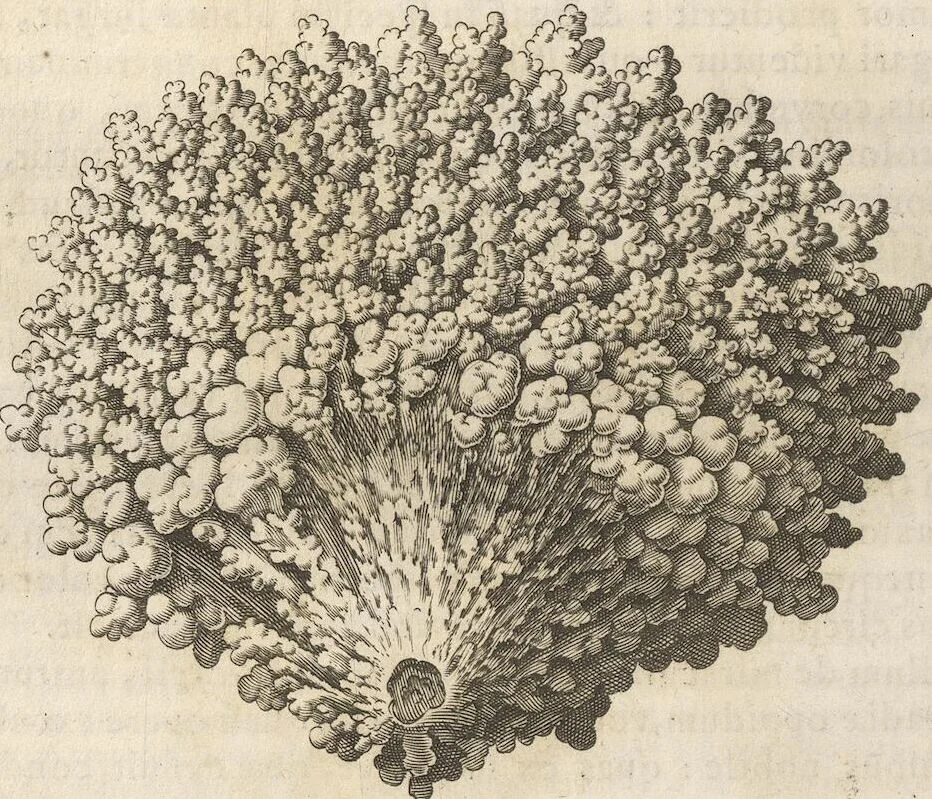An illustration from Michaelis Mercati Samminiatensis Metallotheca: Opus Posthumum, Auctoritate, & Munificentiâ Clementis Undecimi Pontificis Maximi E' tenebris in lucem eductum; Opera autem, & studio Joannis Mariae Lancisii Archiatri Pontificii Illustratum. Cui Accessit Appendix Cum XIX. Recens Inventis Iconibus, 1719, leaf 336