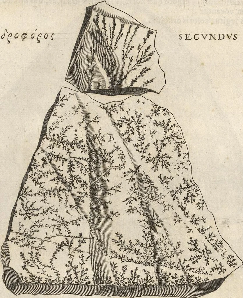 An illustration from Michaelis Mercati Samminiatensis Metallotheca: Opus Posthumum, Auctoritate, & Munificentiâ Clementis Undecimi Pontificis Maximi E' tenebris in lucem eductum; Opera autem, & studio Joannis Mariae Lancisii Archiatri Pontificii Illustratum. Cui Accessit Appendix Cum XIX. Recens Inventis Iconibus, 1719, leaf 351