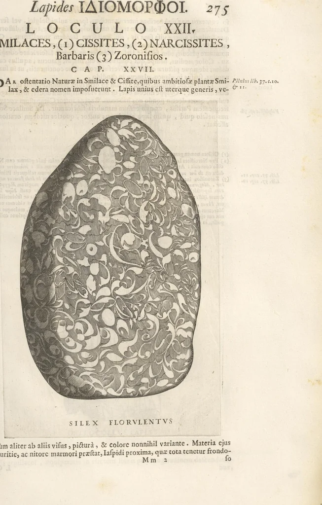 An illustration from Michaelis Mercati Samminiatensis Metallotheca: Opus Posthumum, Auctoritate, & Munificentiâ Clementis Undecimi Pontificis Maximi E' tenebris in lucem eductum; Opera autem, & studio Joannis Mariae Lancisii Archiatri Pontificii Illustratum. Cui Accessit Appendix Cum XIX. Recens Inventis Iconibus, 1719, leaf 353