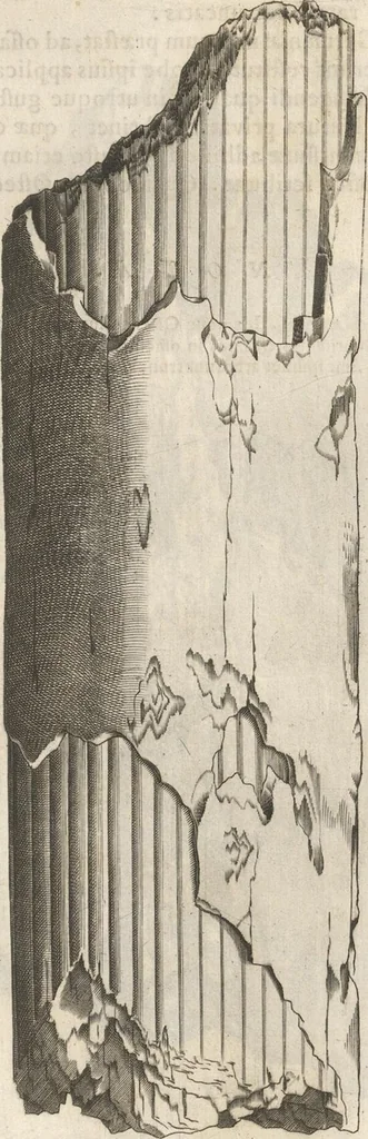 An illustration from Michaelis Mercati Samminiatensis Metallotheca: Opus Posthumum, Auctoritate, & Munificentiâ Clementis Undecimi Pontificis Maximi E' tenebris in lucem eductum; Opera autem, & studio Joannis Mariae Lancisii Archiatri Pontificii Illustratum. Cui Accessit Appendix Cum XIX. Recens Inventis Iconibus, 1719, leaf 355