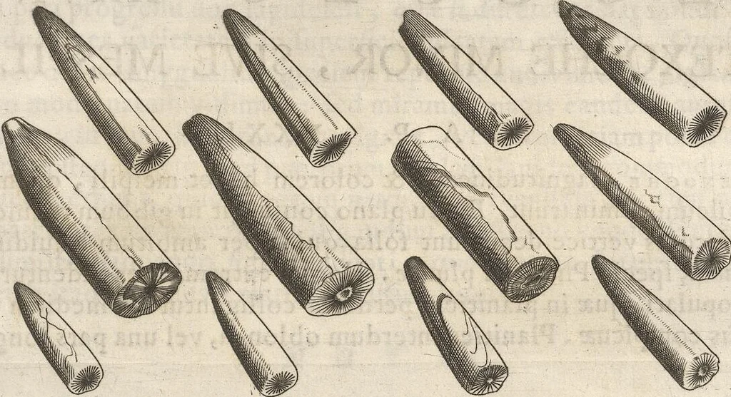 An illustration from Michaelis Mercati Samminiatensis Metallotheca: Opus Posthumum, Auctoritate, & Munificentiâ Clementis Undecimi Pontificis Maximi E' tenebris in lucem eductum; Opera autem, & studio Joannis Mariae Lancisii Archiatri Pontificii Illustratum. Cui Accessit Appendix Cum XIX. Recens Inventis Iconibus, 1719, leaf 359