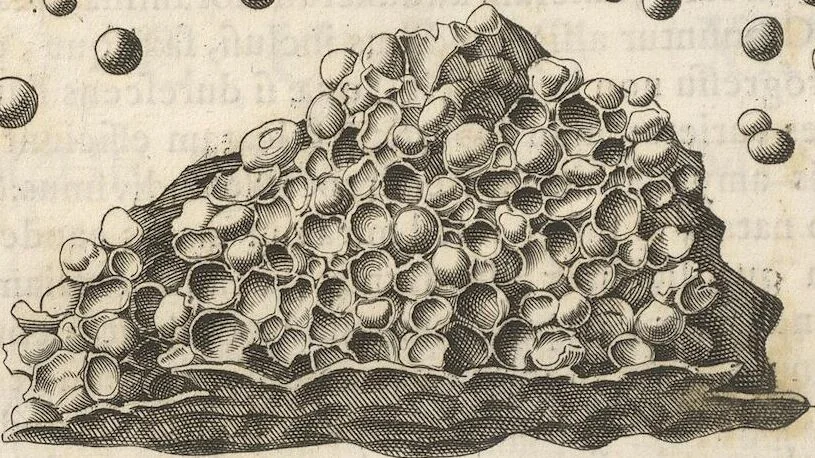 An illustration from Michaelis Mercati Samminiatensis Metallotheca: Opus Posthumum, Auctoritate, & Munificentiâ Clementis Undecimi Pontificis Maximi E' tenebris in lucem eductum; Opera autem, & studio Joannis Mariae Lancisii Archiatri Pontificii Illustratum. Cui Accessit Appendix Cum XIX. Recens Inventis Iconibus, 1719, leaf 362