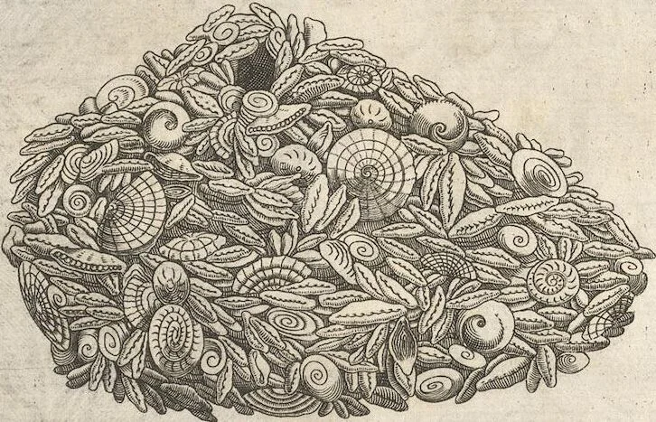 An illustration from Michaelis Mercati Samminiatensis Metallotheca: Opus Posthumum, Auctoritate, & Munificentiâ Clementis Undecimi Pontificis Maximi E' tenebris in lucem eductum; Opera autem, & studio Joannis Mariae Lancisii Archiatri Pontificii Illustratum. Cui Accessit Appendix Cum XIX. Recens Inventis Iconibus, 1719, leaf 363