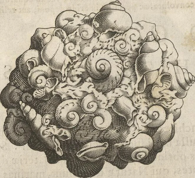 An illustration from Michaelis Mercati Samminiatensis Metallotheca: Opus Posthumum, Auctoritate, & Munificentiâ Clementis Undecimi Pontificis Maximi E' tenebris in lucem eductum; Opera autem, & studio Joannis Mariae Lancisii Archiatri Pontificii Illustratum. Cui Accessit Appendix Cum XIX. Recens Inventis Iconibus, 1719, leaf 366