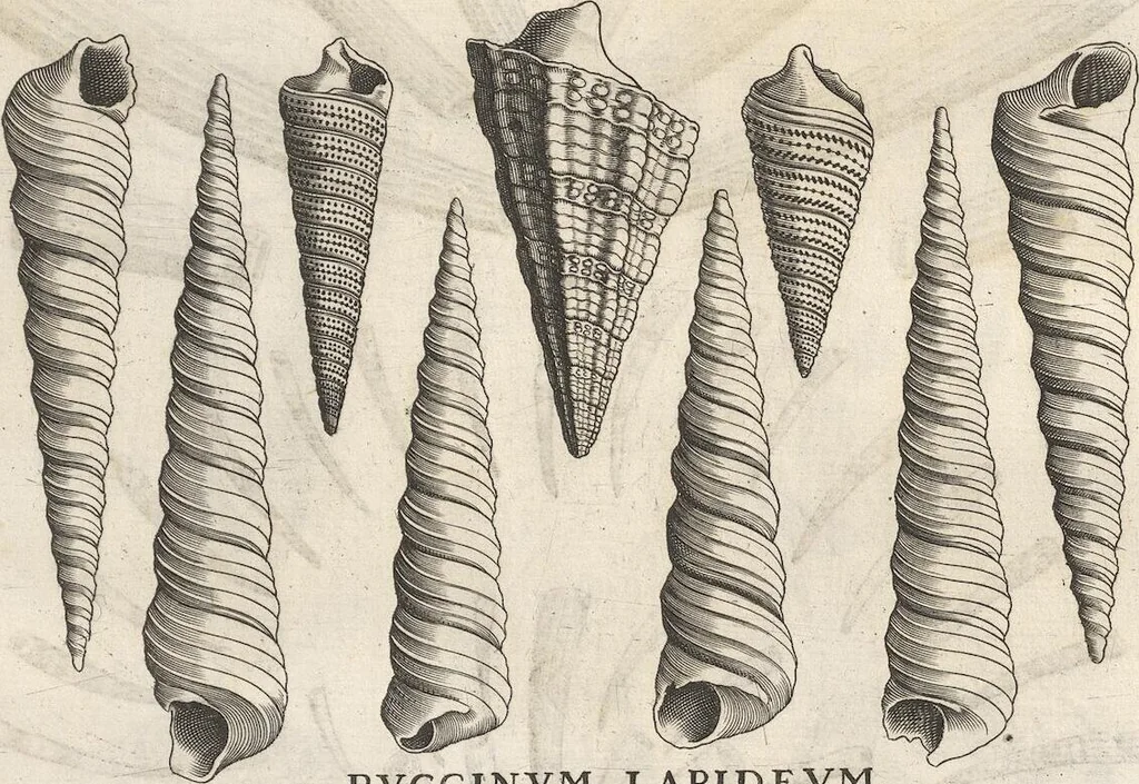 An illustration from Michaelis Mercati Samminiatensis Metallotheca: Opus Posthumum, Auctoritate, & Munificentiâ Clementis Undecimi Pontificis Maximi E' tenebris in lucem eductum; Opera autem, & studio Joannis Mariae Lancisii Archiatri Pontificii Illustratum. Cui Accessit Appendix Cum XIX. Recens Inventis Iconibus, 1719, leaf 379