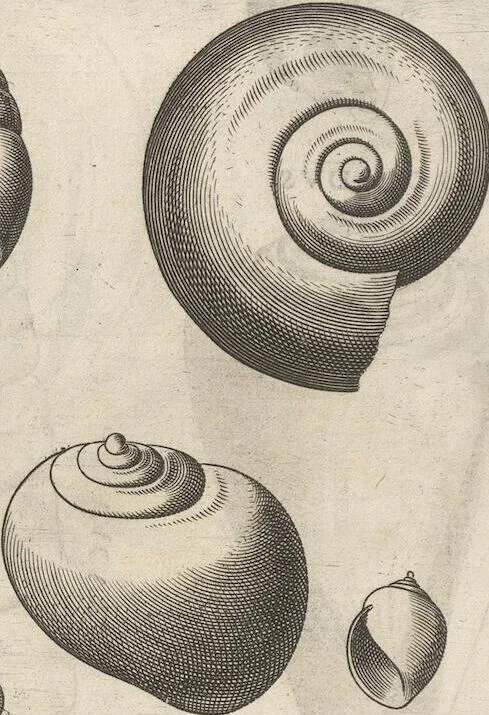 An illustration from Michaelis Mercati Samminiatensis Metallotheca: Opus Posthumum, Auctoritate, & Munificentiâ Clementis Undecimi Pontificis Maximi E' tenebris in lucem eductum; Opera autem, & studio Joannis Mariae Lancisii Archiatri Pontificii Illustratum. Cui Accessit Appendix Cum XIX. Recens Inventis Iconibus, 1719, leaf 382
