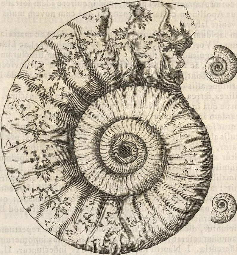 An illustration from Michaelis Mercati Samminiatensis Metallotheca: Opus Posthumum, Auctoritate, & Munificentiâ Clementis Undecimi Pontificis Maximi E' tenebris in lucem eductum; Opera autem, & studio Joannis Mariae Lancisii Archiatri Pontificii Illustratum. Cui Accessit Appendix Cum XIX. Recens Inventis Iconibus, 1719, leaf 385