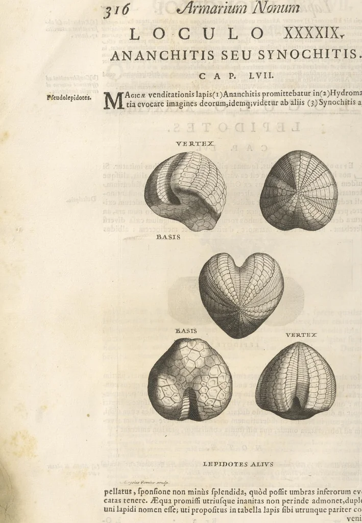 An illustration from Michaelis Mercati Samminiatensis Metallotheca: Opus Posthumum, Auctoritate, & Munificentiâ Clementis Undecimi Pontificis Maximi E' tenebris in lucem eductum; Opera autem, & studio Joannis Mariae Lancisii Archiatri Pontificii Illustratum. Cui Accessit Appendix Cum XIX. Recens Inventis Iconibus, 1719, leaf 394