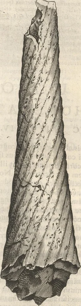 An illustration from Michaelis Mercati Samminiatensis Metallotheca: Opus Posthumum, Auctoritate, & Munificentiâ Clementis Undecimi Pontificis Maximi E' tenebris in lucem eductum; Opera autem, & studio Joannis Mariae Lancisii Archiatri Pontificii Illustratum. Cui Accessit Appendix Cum XIX. Recens Inventis Iconibus, 1719, leaf 401