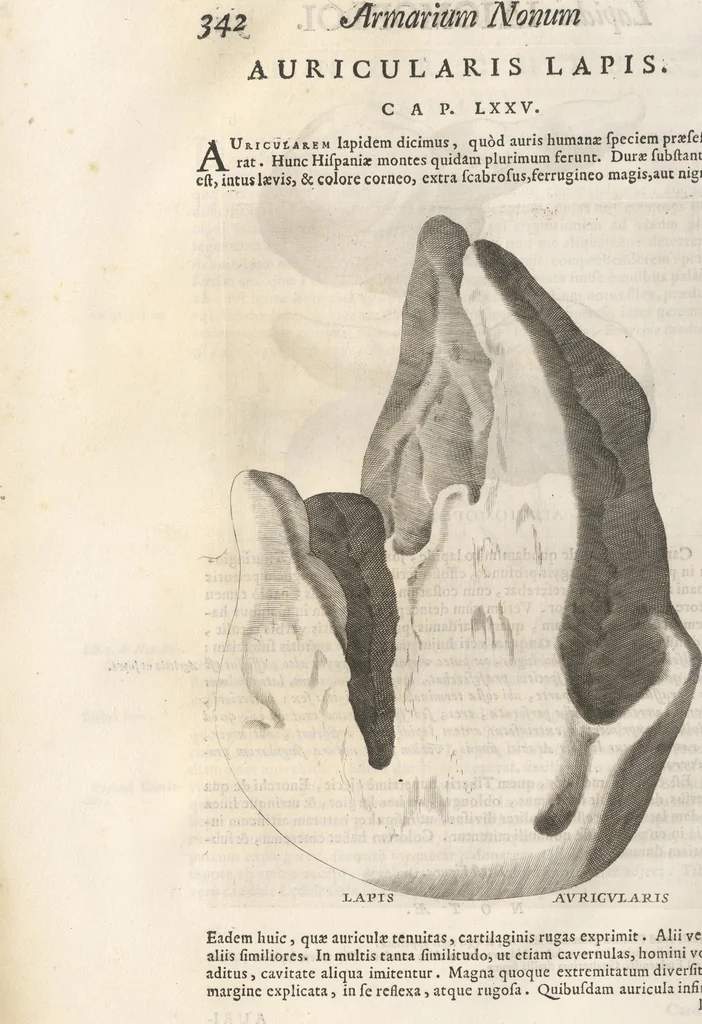 An illustration from Michaelis Mercati Samminiatensis Metallotheca: Opus Posthumum, Auctoritate, & Munificentiâ Clementis Undecimi Pontificis Maximi E' tenebris in lucem eductum; Opera autem, & studio Joannis Mariae Lancisii Archiatri Pontificii Illustratum. Cui Accessit Appendix Cum XIX. Recens Inventis Iconibus, 1719, leaf 420