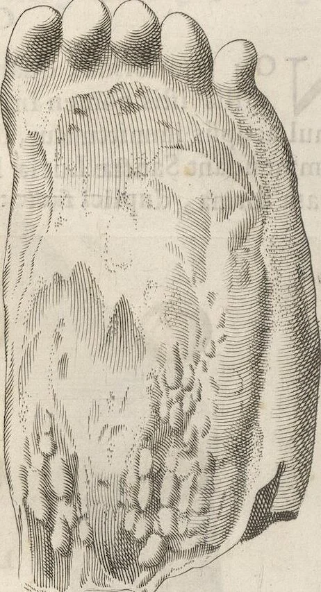 An illustration from Michaelis Mercati Samminiatensis Metallotheca: Opus Posthumum, Auctoritate, & Munificentiâ Clementis Undecimi Pontificis Maximi E' tenebris in lucem eductum; Opera autem, & studio Joannis Mariae Lancisii Archiatri Pontificii Illustratum. Cui Accessit Appendix Cum XIX. Recens Inventis Iconibus, 1719, leaf 422