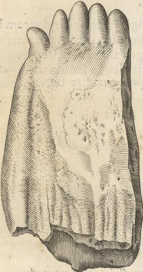 An illustration from Michaelis Mercati Samminiatensis Metallotheca: Opus Posthumum, Auctoritate, & Munificentiâ Clementis Undecimi Pontificis Maximi E' tenebris in lucem eductum; Opera autem, & studio Joannis Mariae Lancisii Archiatri Pontificii Illustratum. Cui Accessit Appendix Cum XIX. Recens Inventis Iconibus, 1719, leaf 422