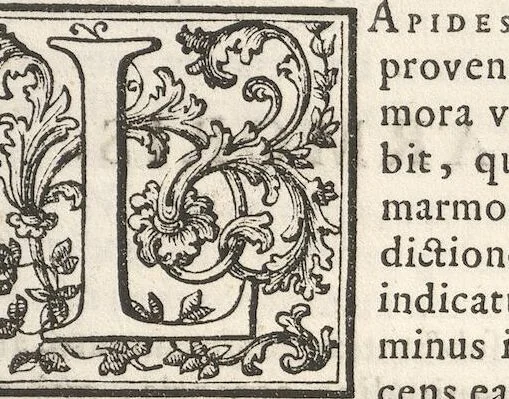 An illustration from Michaelis Mercati Samminiatensis Metallotheca: Opus Posthumum, Auctoritate, & Munificentiâ Clementis Undecimi Pontificis Maximi E' tenebris in lucem eductum; Opera autem, & studio Joannis Mariae Lancisii Archiatri Pontificii Illustratum. Cui Accessit Appendix Cum XIX. Recens Inventis Iconibus, 1719, leaf 429