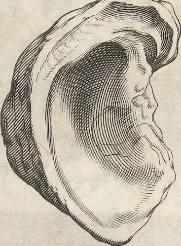 An illustration from Michaelis Mercati Samminiatensis Metallotheca: Opus Posthumum, Auctoritate, & Munificentiâ Clementis Undecimi Pontificis Maximi E' tenebris in lucem eductum; Opera autem, & studio Joannis Mariae Lancisii Archiatri Pontificii Illustratum. Cui Accessit Appendix Cum XIX. Recens Inventis Iconibus, 1719, leaf 499