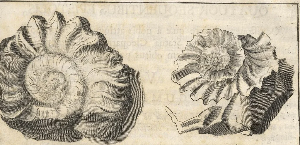 An illustration from Michaelis Mercati Samminiatensis Metallotheca: Opus Posthumum, Auctoritate, & Munificentiâ Clementis Undecimi Pontificis Maximi E' tenebris in lucem eductum; Opera autem, & studio Joannis Mariae Lancisii Archiatri Pontificii Illustratum. Cui Accessit Appendix Cum XIX. Recens Inventis Iconibus, 1719, leaf 515