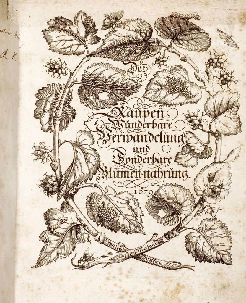 An illustration from (Band 1), 1679, leaf 1
