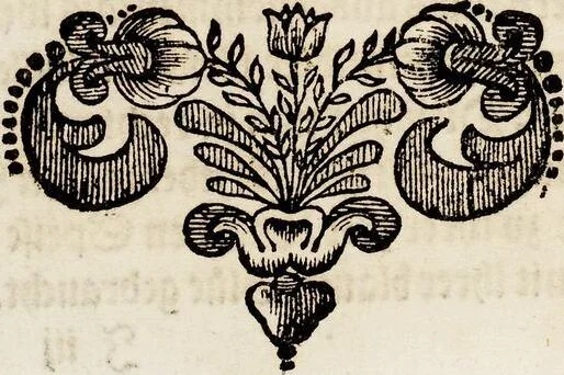 An illustration from (Band 1), 1679, leaf 112