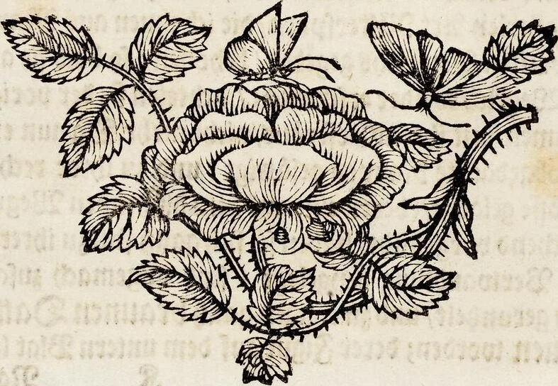 An illustration from (Band 1), 1679, leaf 118