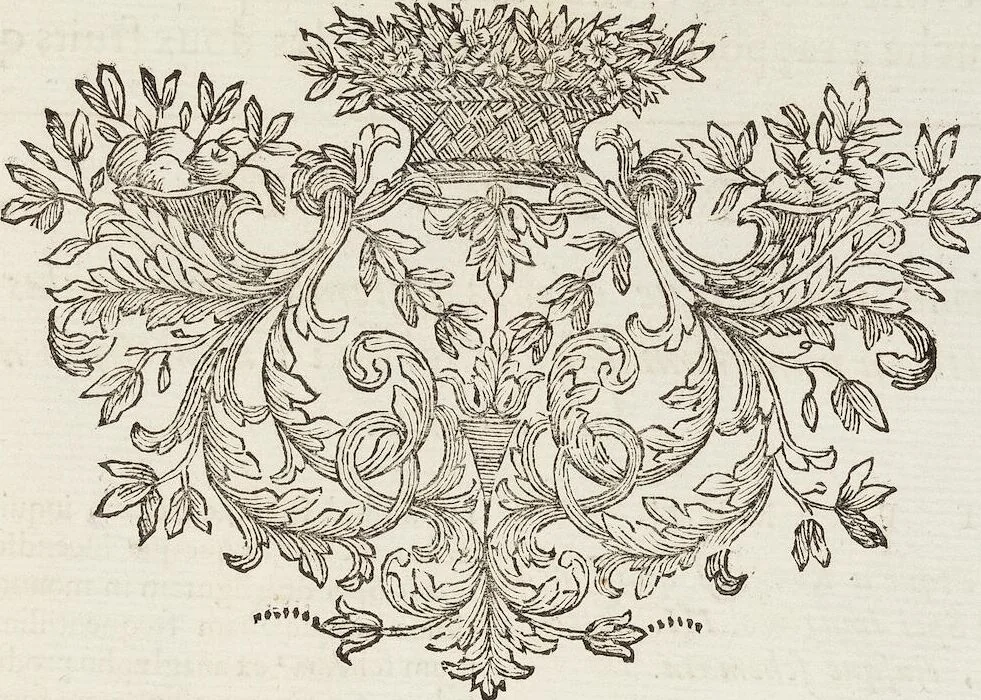 An illustration from (Band 1,2): Les Dieux des Grecs & des Romains: Les Heros parvenus à la Divinité, 1719, leaf 313