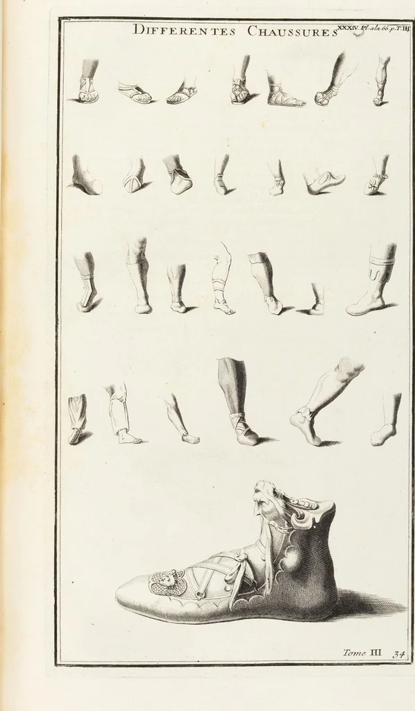 An illustration from (Band 3,1): L' Antiquité Expliquée Et Représentée En Figures: Les Usages de la vie; Tome Troisieme Premiere Partie, leaf 144