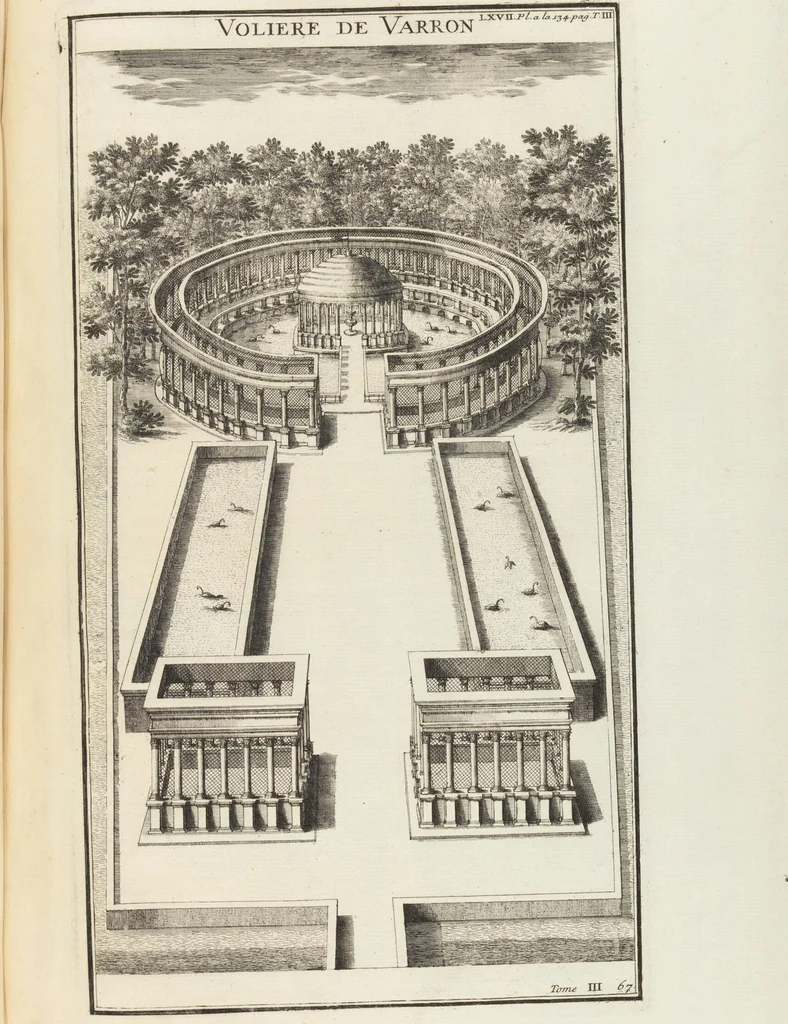 An illustration from (Band 3,1): L' Antiquité Expliquée Et Représentée En Figures: Les Usages de la vie; Tome Troisieme Premiere Partie, leaf 283
