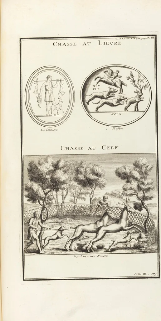 An illustration from (Band 3,2): L' Antiquité Expliquée Et Représentée En Figures: Les Usages de la vie; Tome Troisieme Seconde Partie, leaf 247