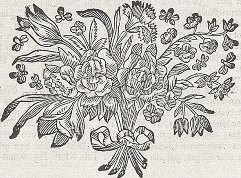 An illustration from Griechische und Römische Alterthümer: welche der berühmte P. Montfaucon ehemals samt den dazu gehörigen Supplementen in zehen Bänden in Folio, an das Licht gestellet hat, ..., 1757, leaf 204