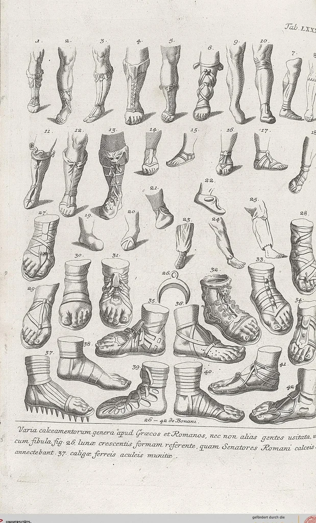 An illustration from Griechische und Römische Alterthümer: welche der berühmte P. Montfaucon ehemals samt den dazu gehörigen Supplementen in zehen Bänden in Folio, an das Licht gestellet hat, ..., 1757, leaf 435
