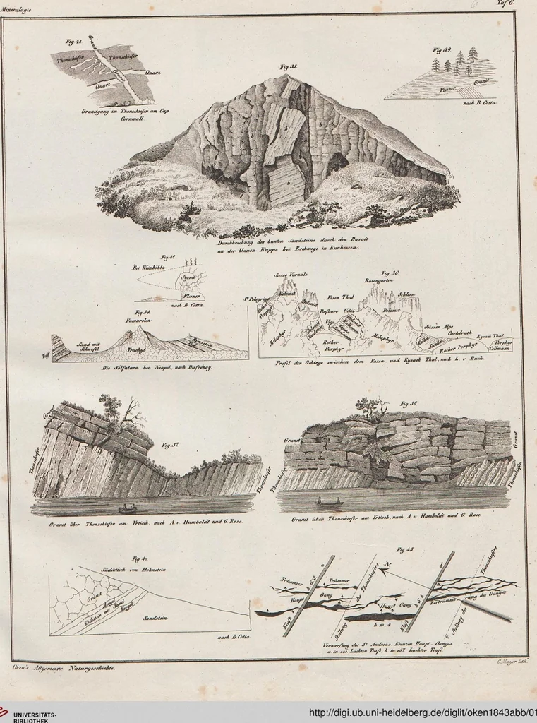 An illustration from Abbildungen zu Oken's Allgemeiner Naturgeschichte für alle Stände, 1843, leaf 170