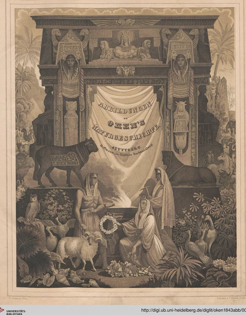 An illustration from Abbildungen zu Oken's Allgemeiner Naturgeschichte für alle Stände, 1843, leaf 7