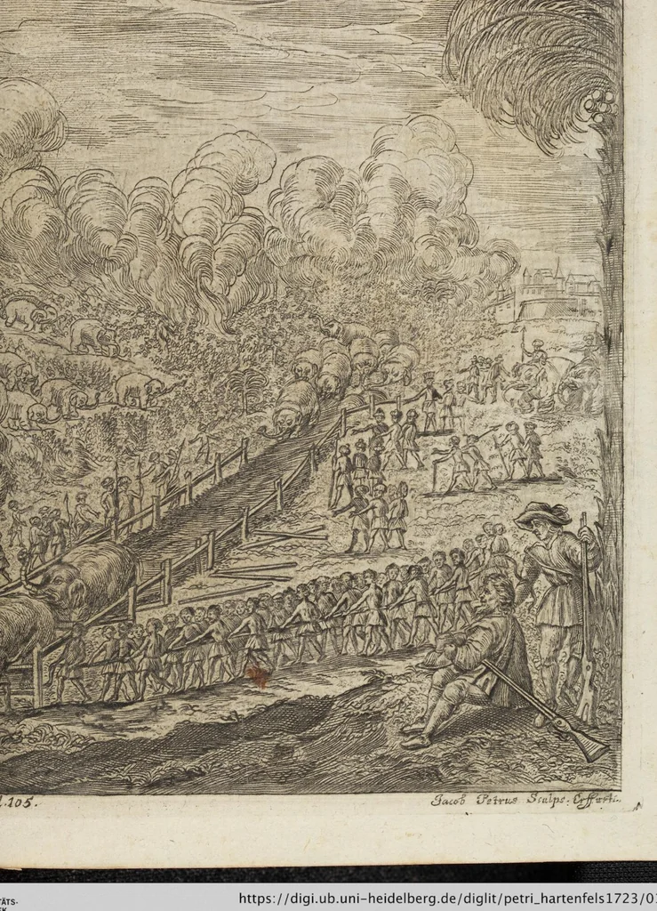 An illustration from D. Georg. Christoph. Petri ab Hartenfelß/ Consiliarii Et Archiatri Moguntini &c. &c. Elephantographia Curiosa: Cui Accessit Ejusdem Auctoris Oratio Panegyrica De Elephantis, Publice In Actu Doctorali Erfordiæ Habita; Nec Non Justi Lipsii Epistola De Eodem Argumento Erudite Conscripta: In Fine Adjectus Est Index Rerum Notabilium Locupletissimus, leaf 157