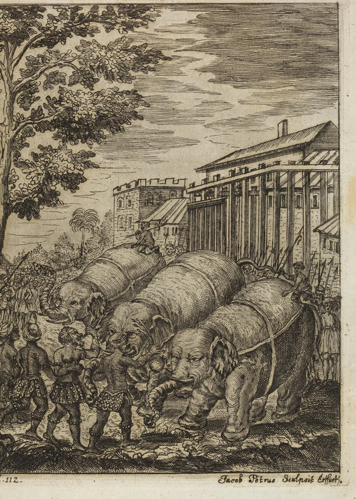 An illustration from D. Georg. Christoph. Petri ab Hartenfelß/ Consiliarii Et Archiatri Moguntini &c. &c. Elephantographia Curiosa: Cui Accessit Ejusdem Auctoris Oratio Panegyrica De Elephantis, Publice In Actu Doctorali Erfordiæ Habita; Nec Non Justi Lipsii Epistola De Eodem Argumento Erudite Conscripta: In Fine Adjectus Est Index Rerum Notabilium Locupletissimus, leaf 171