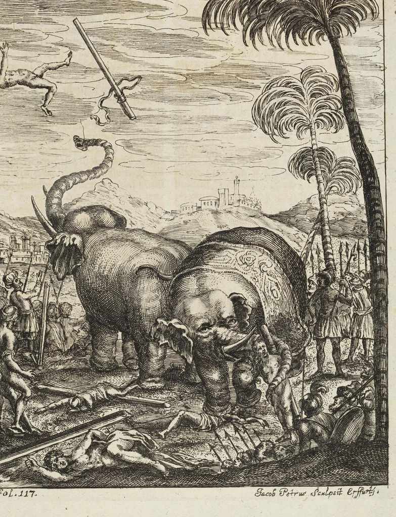 An illustration from D. Georg. Christoph. Petri ab Hartenfelß/ Consiliarii Et Archiatri Moguntini &c. &c. Elephantographia Curiosa: Cui Accessit Ejusdem Auctoris Oratio Panegyrica De Elephantis, Publice In Actu Doctorali Erfordiæ Habita; Nec Non Justi Lipsii Epistola De Eodem Argumento Erudite Conscripta: In Fine Adjectus Est Index Rerum Notabilium Locupletissimus, leaf 177