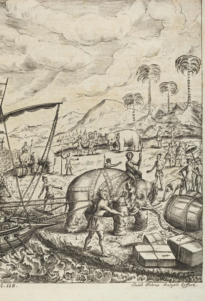 An illustration from D. Georg. Christoph. Petri ab Hartenfelß/ Consiliarii Et Archiatri Moguntini &c. &c. Elephantographia Curiosa: Cui Accessit Ejusdem Auctoris Oratio Panegyrica De Elephantis, Publice In Actu Doctorali Erfordiæ Habita; Nec Non Justi Lipsii Epistola De Eodem Argumento Erudite Conscripta: In Fine Adjectus Est Index Rerum Notabilium Locupletissimus, leaf 181