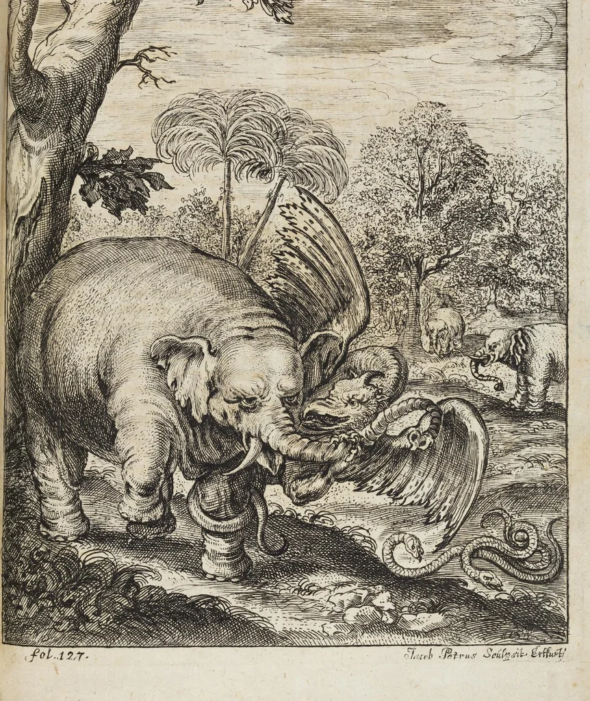An illustration from D. Georg. Christoph. Petri ab Hartenfelß/ Consiliarii Et Archiatri Moguntini &c. &c. Elephantographia Curiosa: Cui Accessit Ejusdem Auctoris Oratio Panegyrica De Elephantis, Publice In Actu Doctorali Erfordiæ Habita; Nec Non Justi Lipsii Epistola De Eodem Argumento Erudite Conscripta: In Fine Adjectus Est Index Rerum Notabilium Locupletissimus, leaf 195