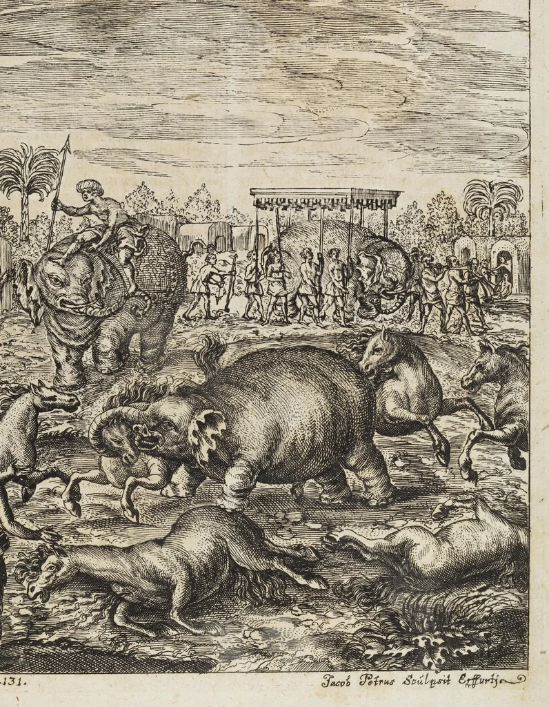 An illustration from D. Georg. Christoph. Petri ab Hartenfelß/ Consiliarii Et Archiatri Moguntini &c. &c. Elephantographia Curiosa: Cui Accessit Ejusdem Auctoris Oratio Panegyrica De Elephantis, Publice In Actu Doctorali Erfordiæ Habita; Nec Non Justi Lipsii Epistola De Eodem Argumento Erudite Conscripta: In Fine Adjectus Est Index Rerum Notabilium Locupletissimus, leaf 201