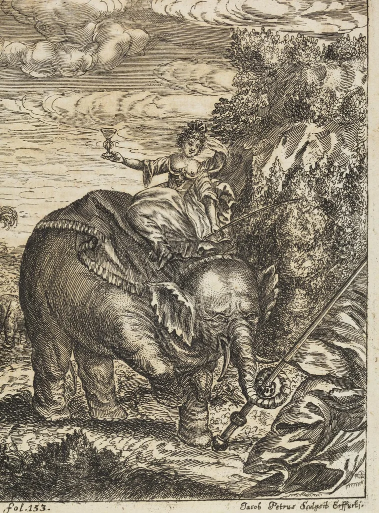 An illustration from D. Georg. Christoph. Petri ab Hartenfelß/ Consiliarii Et Archiatri Moguntini &c. &c. Elephantographia Curiosa: Cui Accessit Ejusdem Auctoris Oratio Panegyrica De Elephantis, Publice In Actu Doctorali Erfordiæ Habita; Nec Non Justi Lipsii Epistola De Eodem Argumento Erudite Conscripta: In Fine Adjectus Est Index Rerum Notabilium Locupletissimus, leaf 225