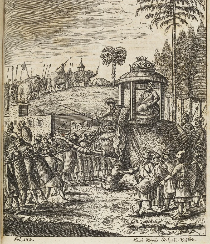 An illustration from D. Georg. Christoph. Petri ab Hartenfelß/ Consiliarii Et Archiatri Moguntini &c. &c. Elephantographia Curiosa: Cui Accessit Ejusdem Auctoris Oratio Panegyrica De Elephantis, Publice In Actu Doctorali Erfordiæ Habita; Nec Non Justi Lipsii Epistola De Eodem Argumento Erudite Conscripta: In Fine Adjectus Est Index Rerum Notabilium Locupletissimus, leaf 243