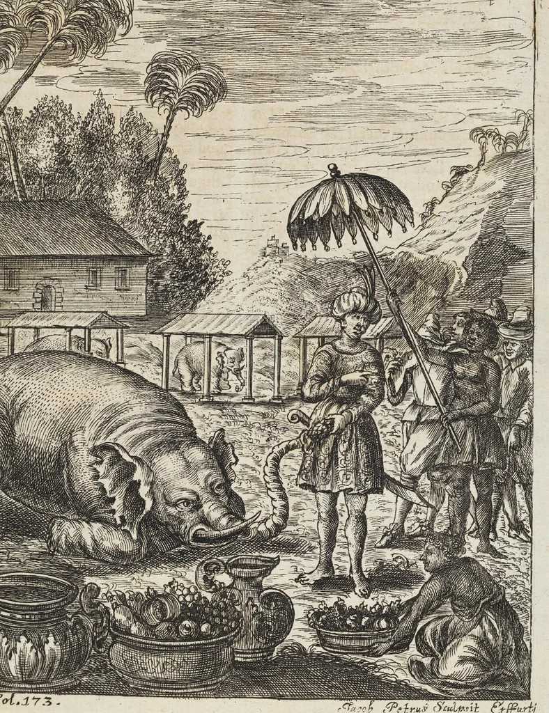 An illustration from D. Georg. Christoph. Petri ab Hartenfelß/ Consiliarii Et Archiatri Moguntini &c. &c. Elephantographia Curiosa: Cui Accessit Ejusdem Auctoris Oratio Panegyrica De Elephantis, Publice In Actu Doctorali Erfordiæ Habita; Nec Non Justi Lipsii Epistola De Eodem Argumento Erudite Conscripta: In Fine Adjectus Est Index Rerum Notabilium Locupletissimus, leaf 249