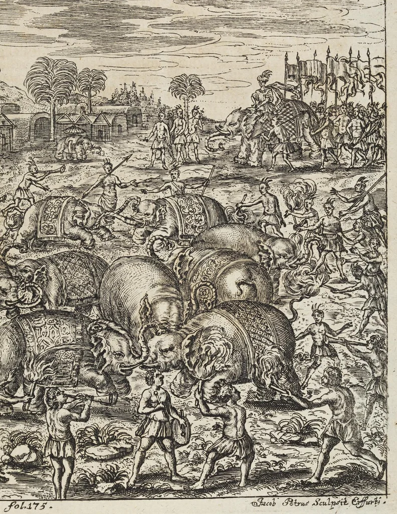 An illustration from D. Georg. Christoph. Petri ab Hartenfelß/ Consiliarii Et Archiatri Moguntini &c. &c. Elephantographia Curiosa: Cui Accessit Ejusdem Auctoris Oratio Panegyrica De Elephantis, Publice In Actu Doctorali Erfordiæ Habita; Nec Non Justi Lipsii Epistola De Eodem Argumento Erudite Conscripta: In Fine Adjectus Est Index Rerum Notabilium Locupletissimus, leaf 253