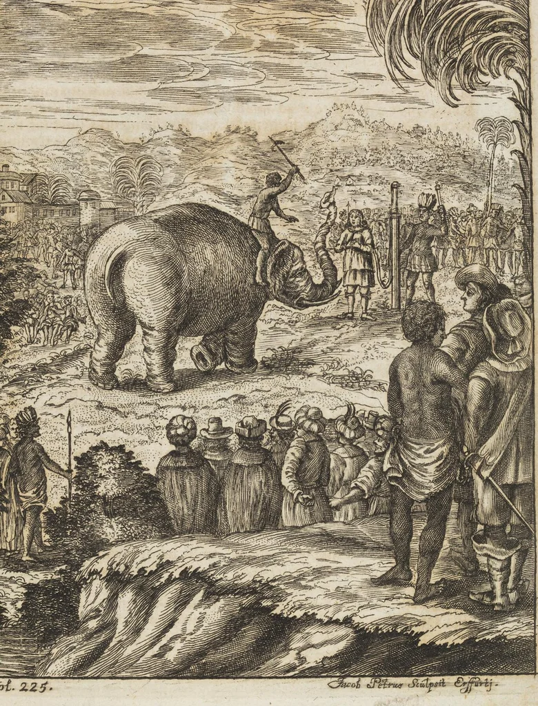 An illustration from D. Georg. Christoph. Petri ab Hartenfelß/ Consiliarii Et Archiatri Moguntini &c. &c. Elephantographia Curiosa: Cui Accessit Ejusdem Auctoris Oratio Panegyrica De Elephantis, Publice In Actu Doctorali Erfordiæ Habita; Nec Non Justi Lipsii Epistola De Eodem Argumento Erudite Conscripta: In Fine Adjectus Est Index Rerum Notabilium Locupletissimus, leaf 315