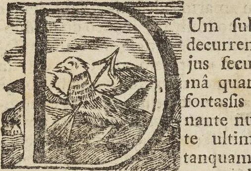 An illustration from D. Georg. Christoph. Petri ab Hartenfelß/ Consiliarii Et Archiatri Moguntini &c. &c. Elephantographia Curiosa: Cui Accessit Ejusdem Auctoris Oratio Panegyrica De Elephantis, Publice In Actu Doctorali Erfordiæ Habita; Nec Non Justi Lipsii Epistola De Eodem Argumento Erudite Conscripta: In Fine Adjectus Est Index Rerum Notabilium Locupletissimus, leaf 379